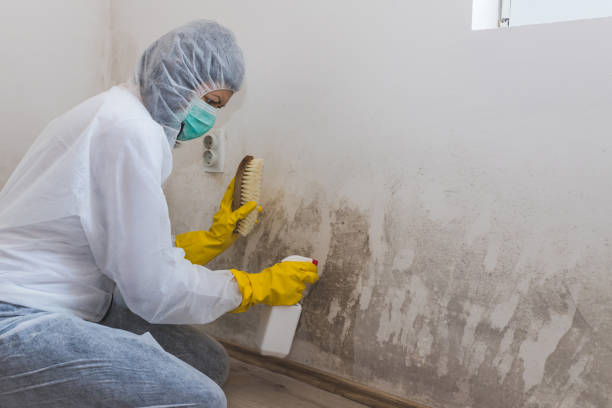 Best Mold Odor Removal Services  in Teays Valley, WV