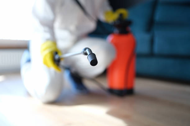 Teays Valley, WV Mold Removal Company