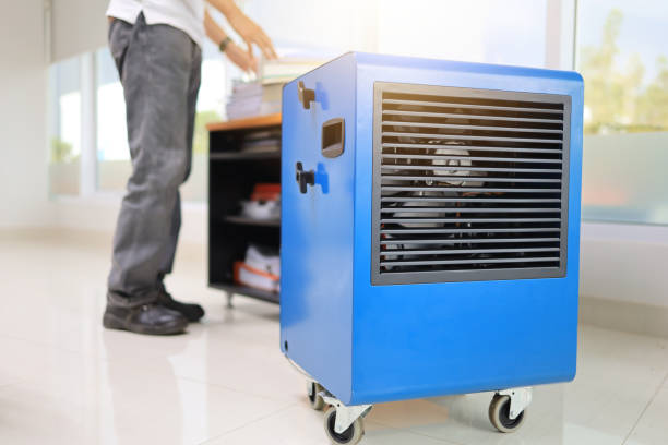 Best Industrial Mold Remediation  in Teays Valley, WV