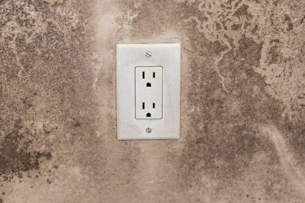 Reliable Teays Valley, WV Mold Removal Solutions