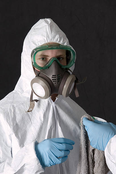 Best Crawl Space Mold Remediation  in Teays Valley, WV